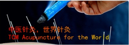 【世界针联】针灸推拿助中国体操队夺金摘银